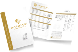 Patent & Sertifika